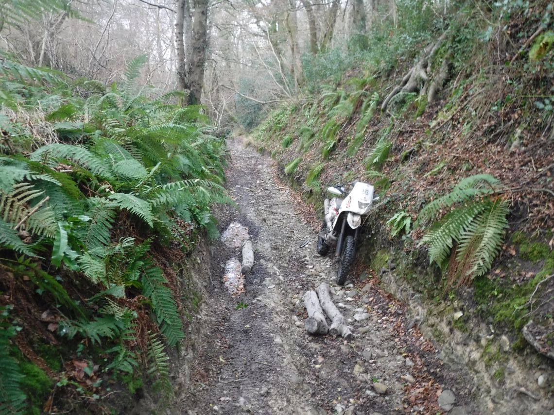Sunken trail