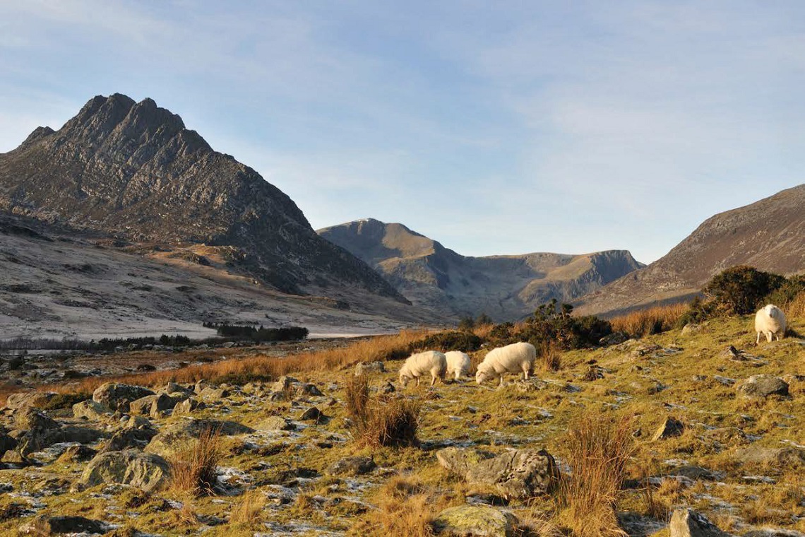 Tryfan