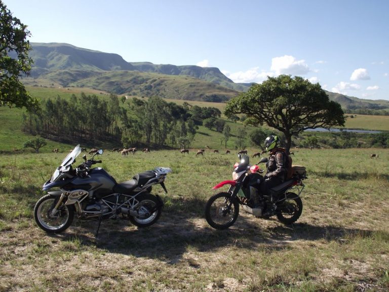 Waterberg featured image