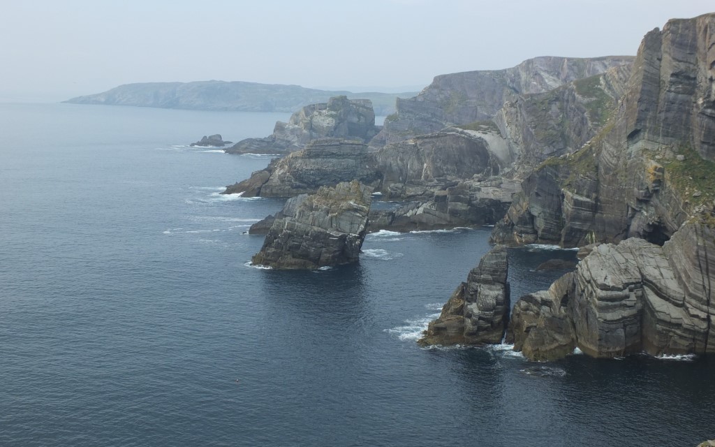 Wild Mizzen Coast