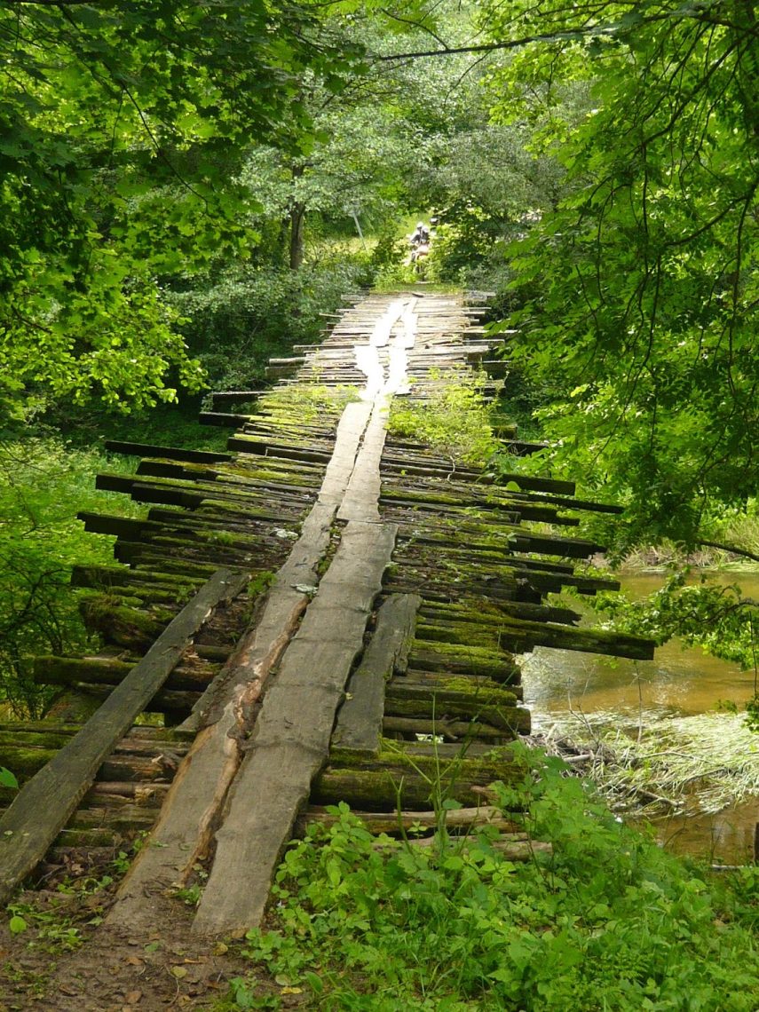 bridge-issue-24