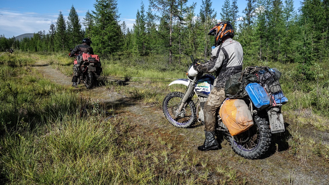 dima’s xr600