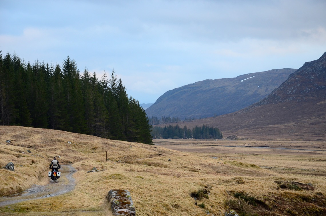 fergbothy