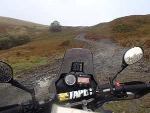 green-lanes-2-issue-31