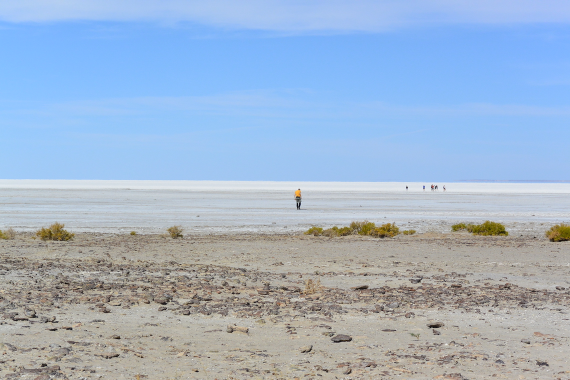lake-eyre-sal-flats-issue-31