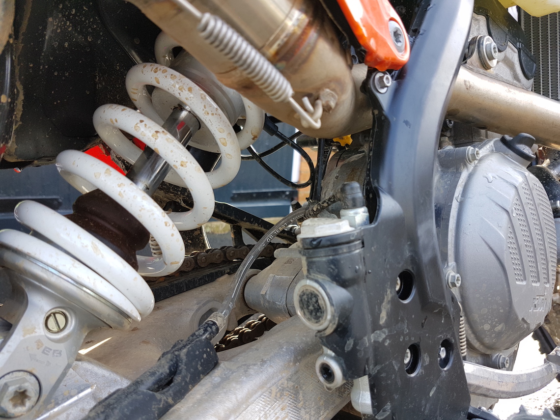 rear-wp-issue-39