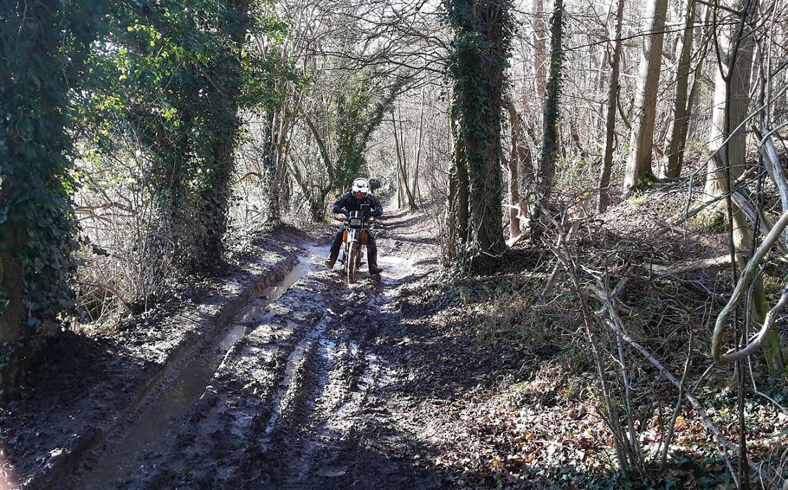 rutted trails