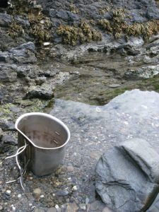 1 rockpool water source