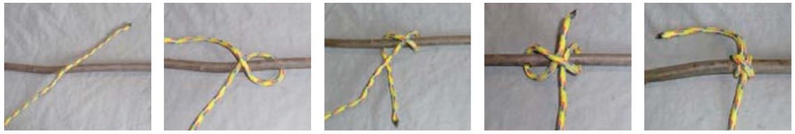 3-clove-hitch
