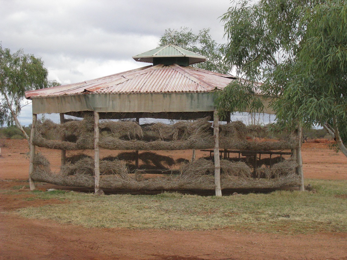 53 Cooling Shed