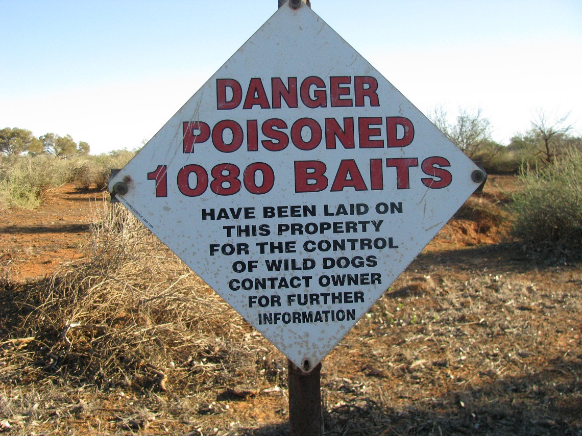 73 Beware near Murchison Staion