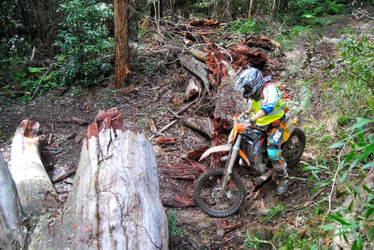Watagan cycle track hotsell
