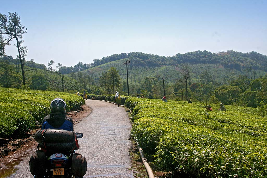 ABR28-western-ghats-IMG_6229