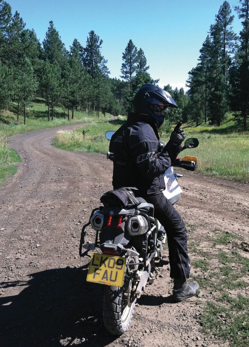 Forest roads