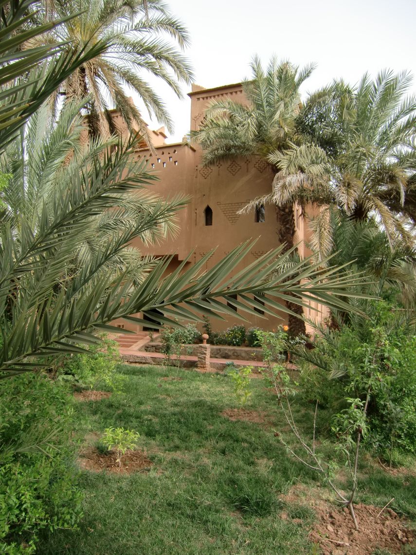Our Riad on day two - great food and cold beer. Perfect.