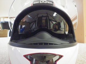 Panoramic Visor