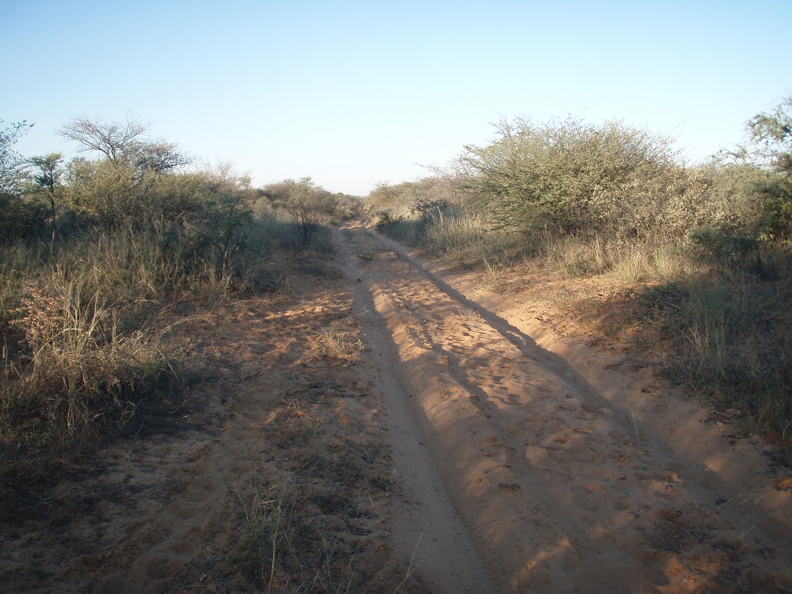 Sandy-track