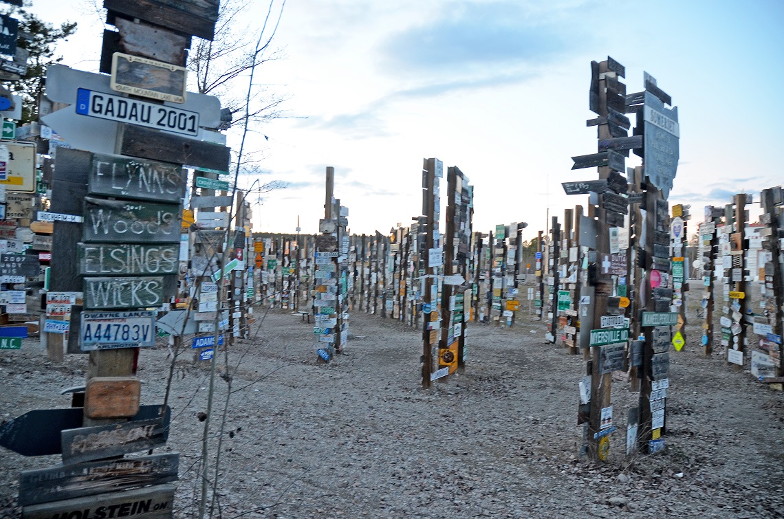 The signpost forest