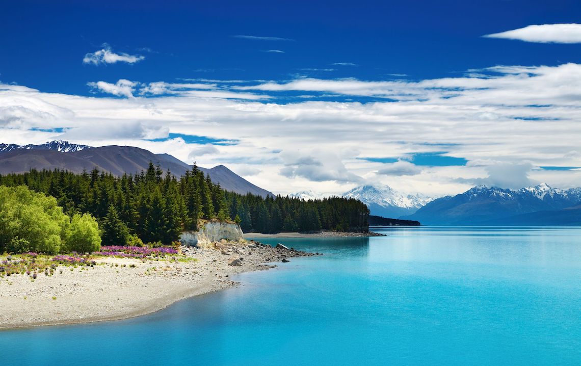 Top Trips