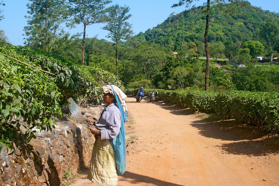 busy farming areas