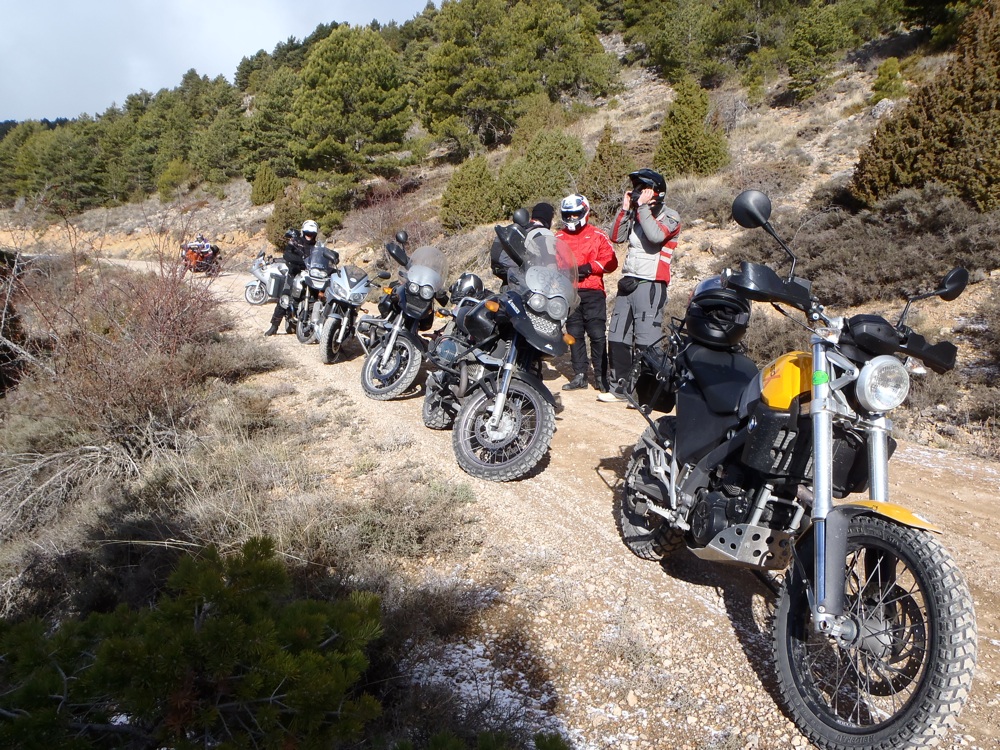 Winter Rallies