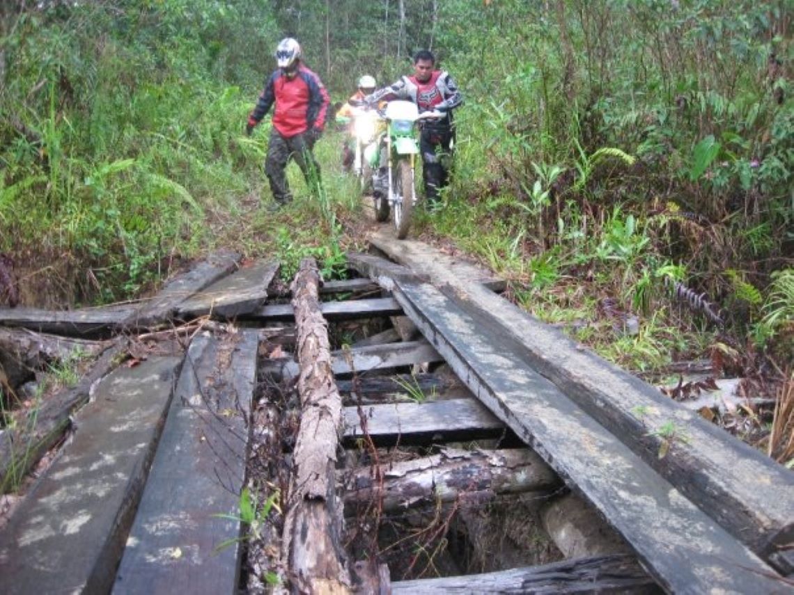 Borneo-bridge