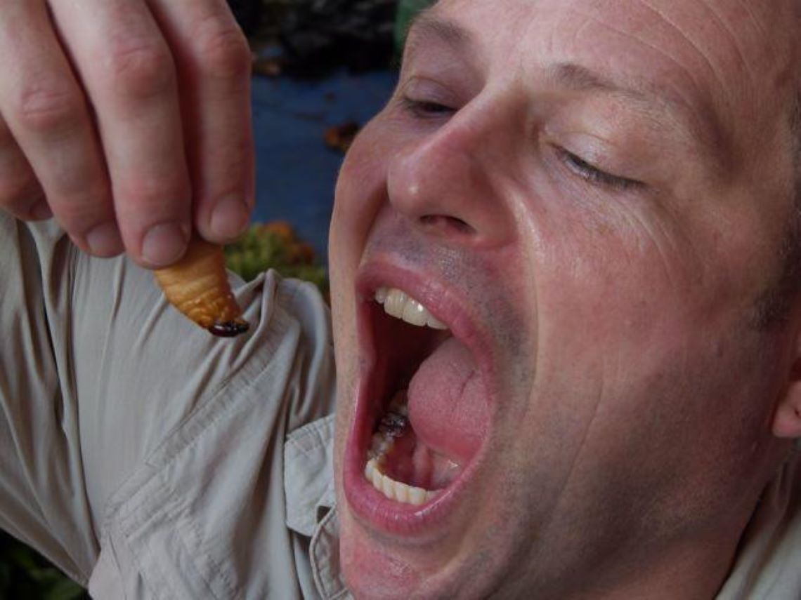 Dr-Mike-Sago-Grub-best-eaten-alive