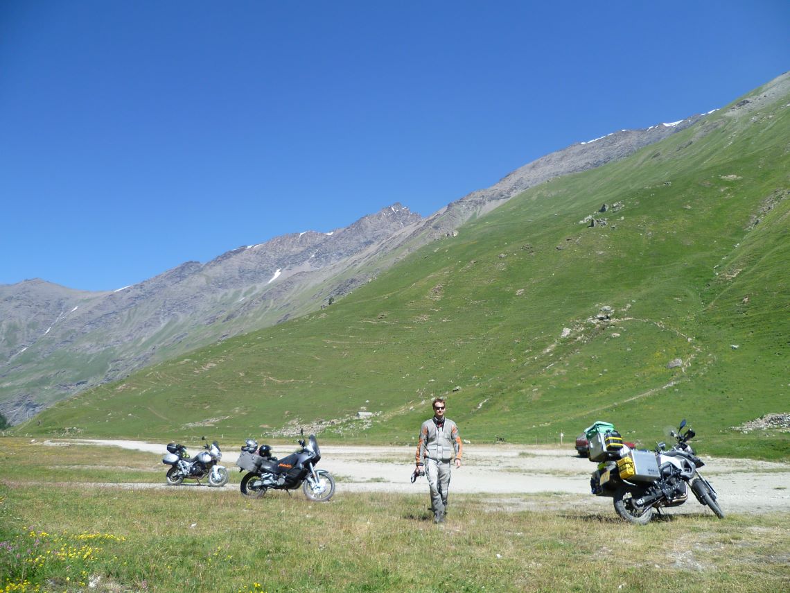 Stella-Alpine-1