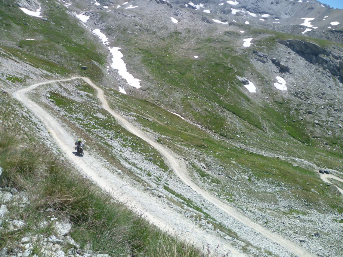 Stella-Alpine-1