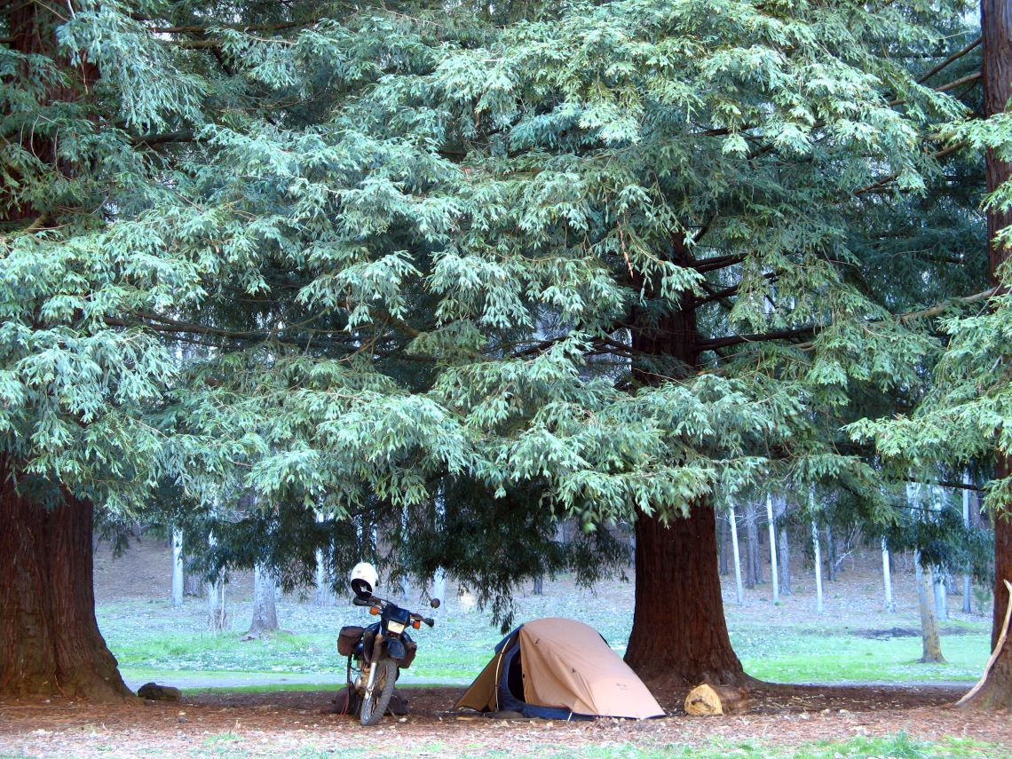 Tasmania-camp_centraltasmania