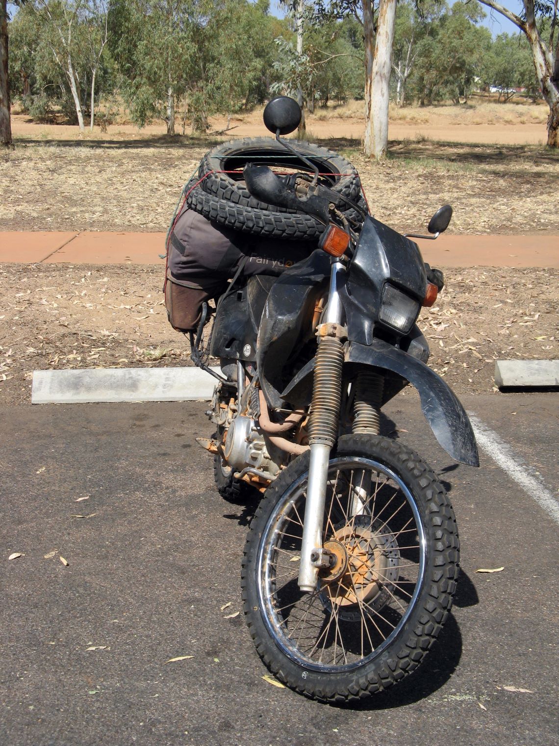 Tasmania-desert-ready-gosling