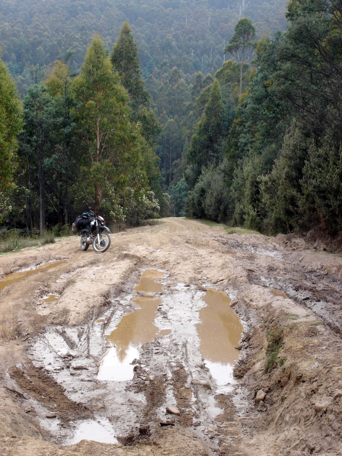 Tasmania-part-of-the-crabtree-track