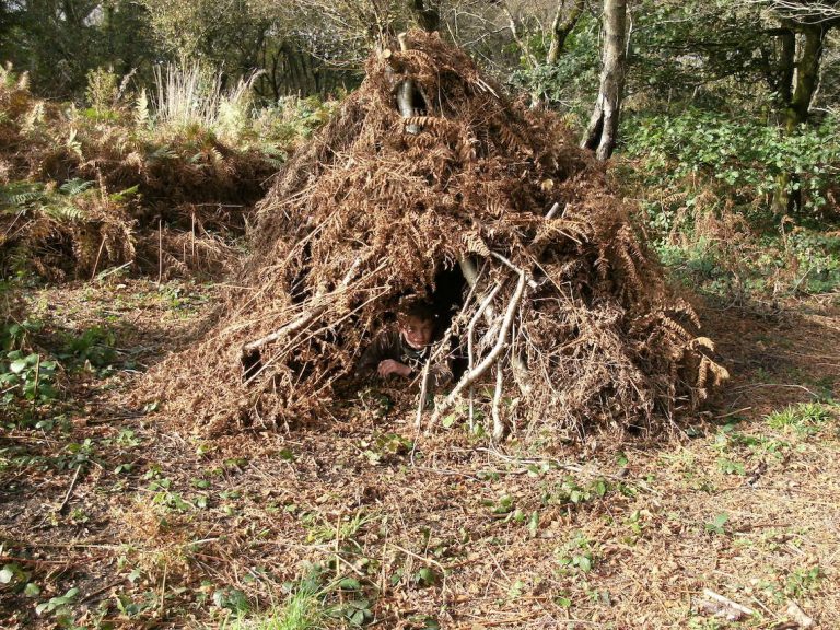 Bushcraft