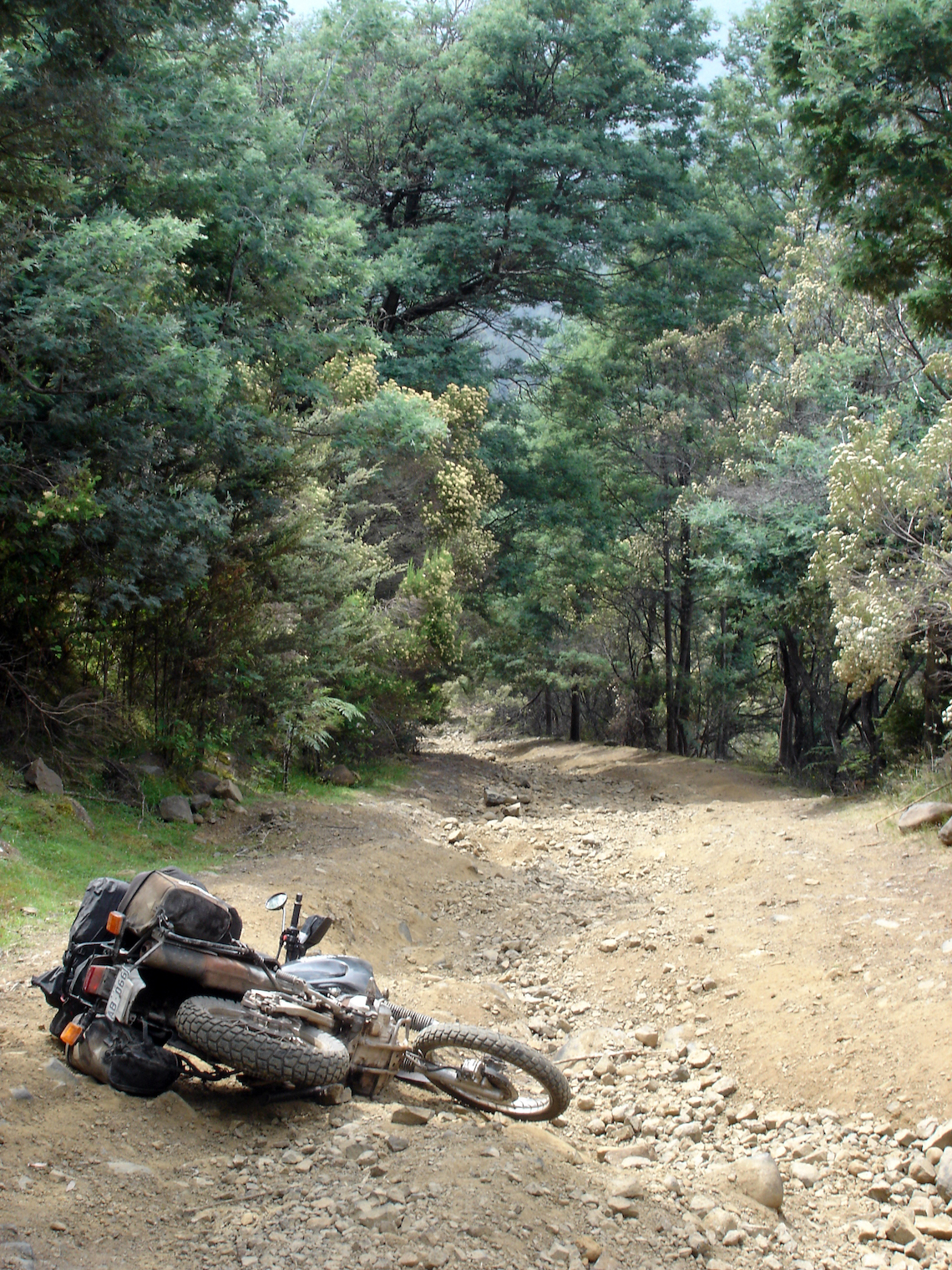 Tasmania