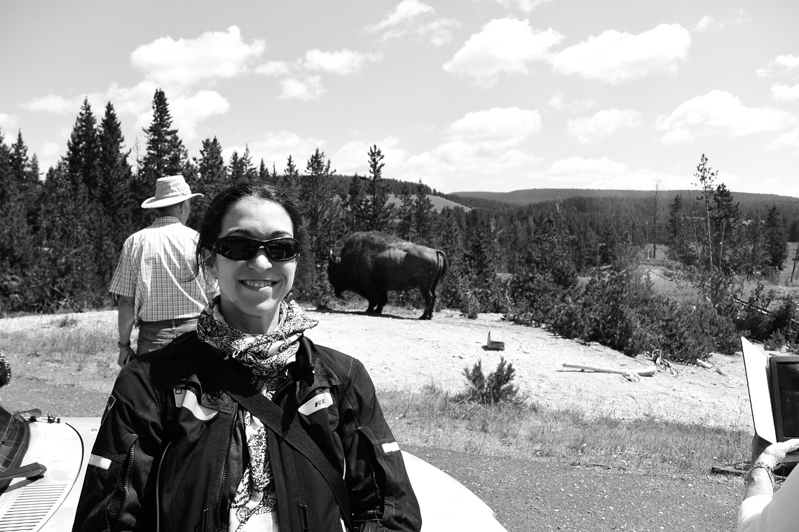 Yellowstone national park July 2015