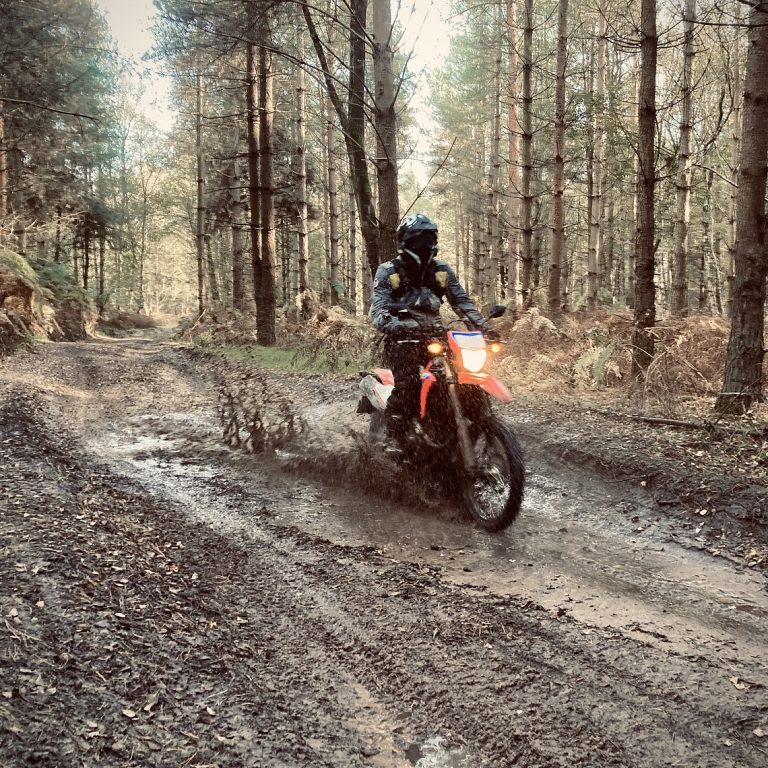 CRF300L Feature