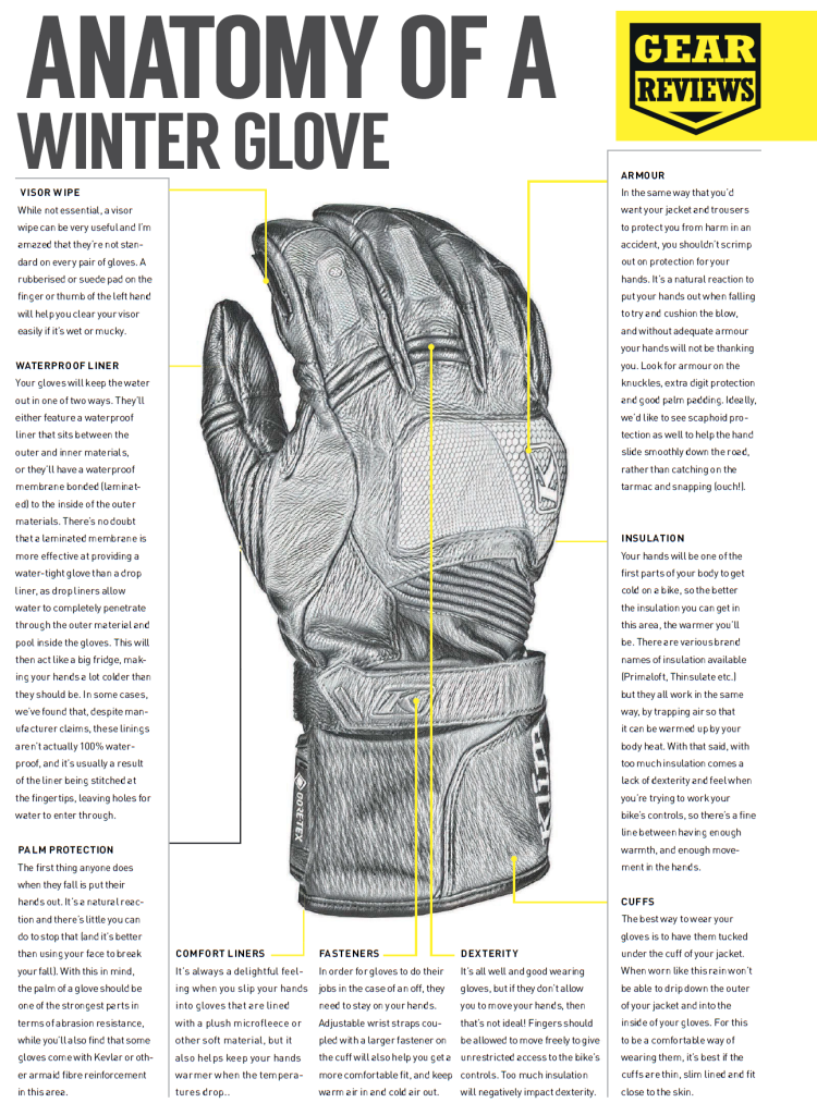 GloveAnatomy