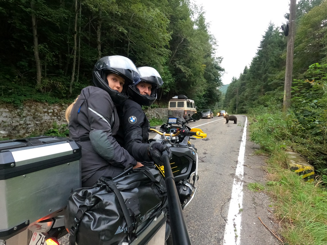 Bear sightings were common along the Transfagarasan