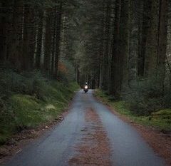 Jackie Parker, Jan, Snowdon route