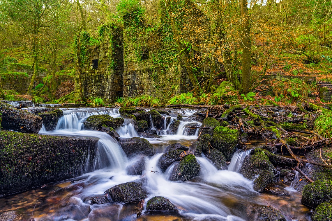 You’ll pass the atmospheric Golitha Falls on the edge of Bodmin Moor
