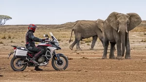 2023 Ducati Multistrada V4 Rally: First look