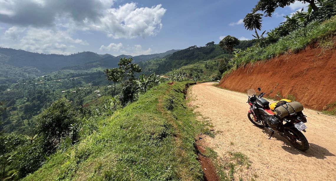 A road in the Bwindi Impenetrable Forest