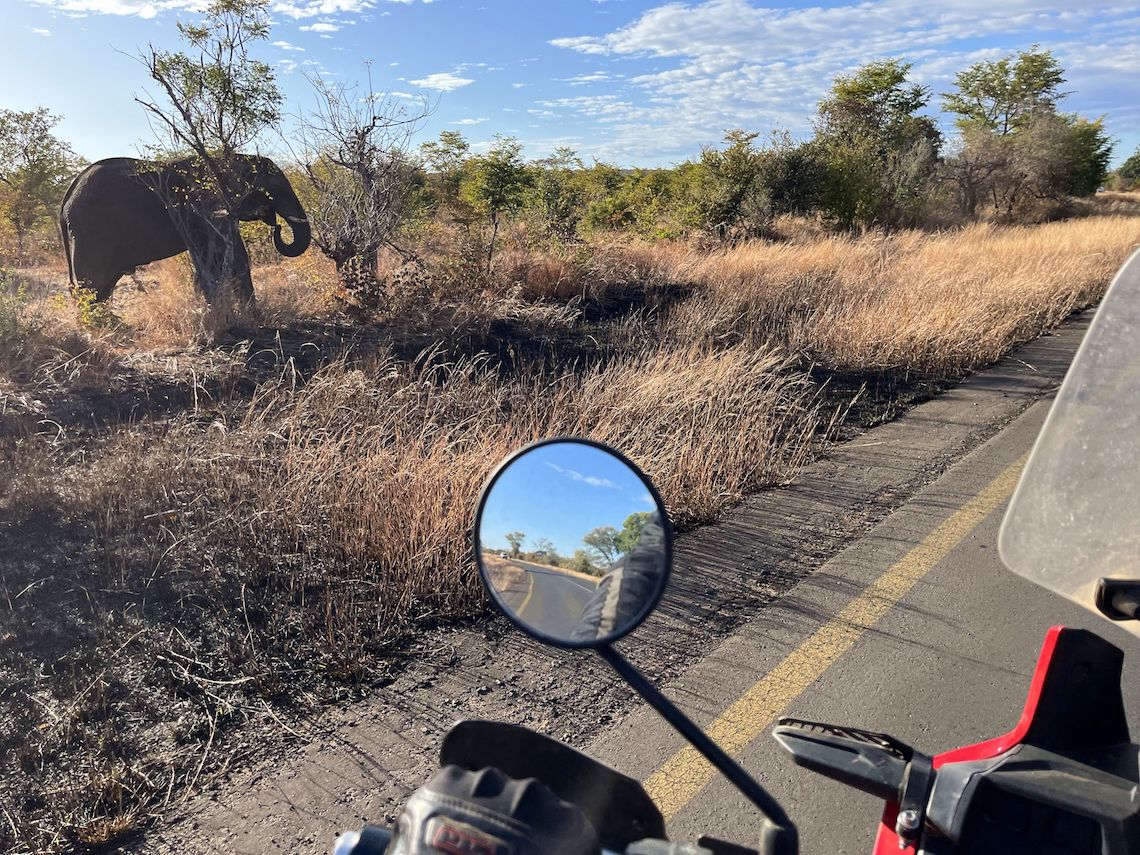 Elephant sighting from a motorbike