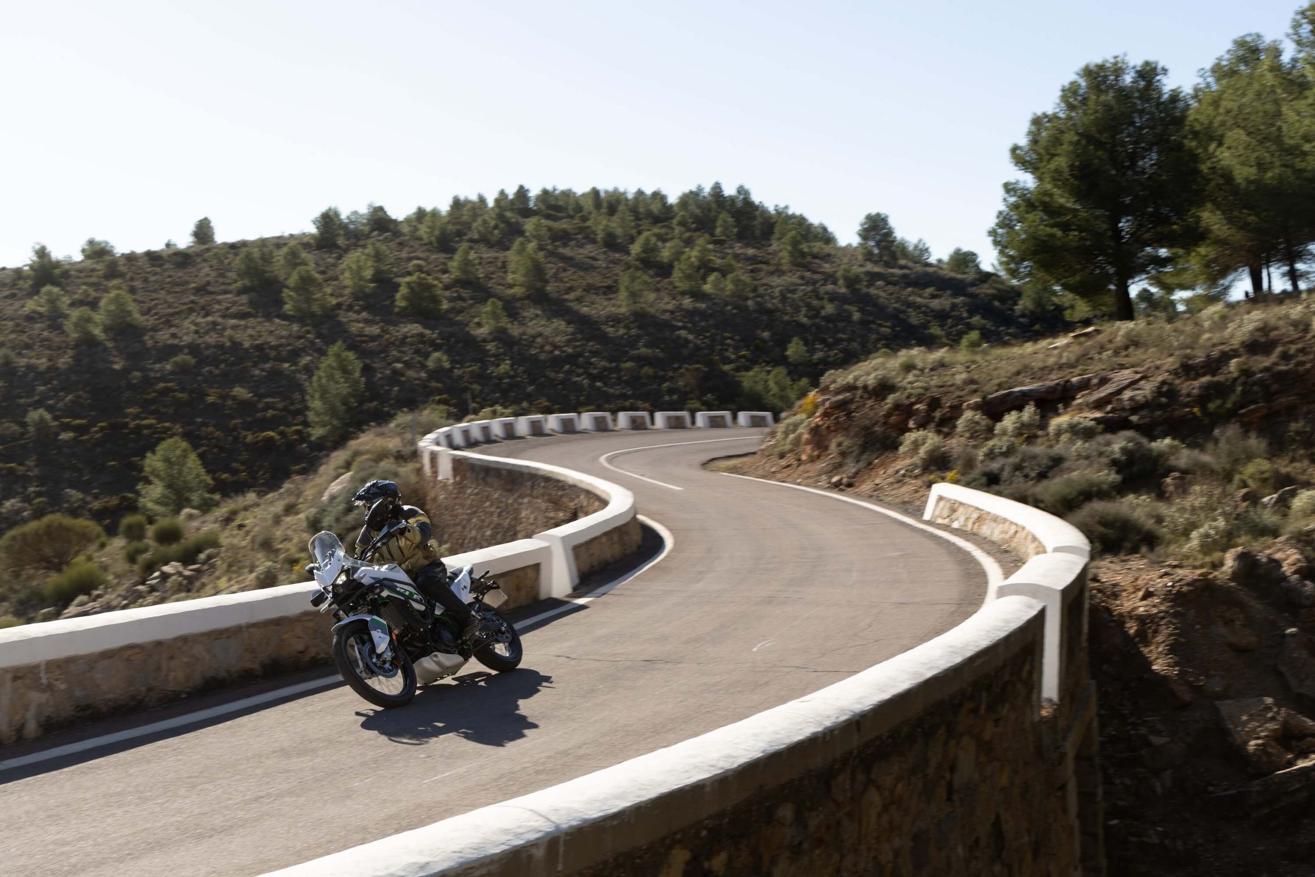 Kawasaki KLE500
